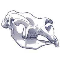 Diprotodon optatum - Mens Staple Tee Design