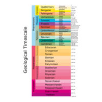 Geological timescale - Mens Staple Tee Design