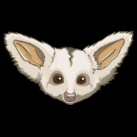 Petauroides sp. - Kids / Youth Premium Tee Design