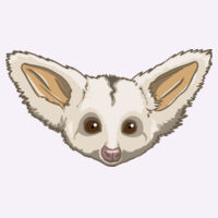 Petauroides sp. - Women's Maple Tee Design