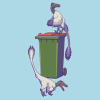 Bin raptors - Women's Maple Tee Design