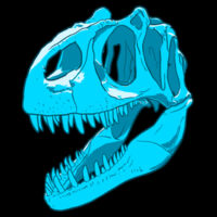 Allosaurus fragilis - Kids / Youth Premium Tee Design