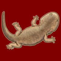 Siderops kehli - Mens Staple Tee Design