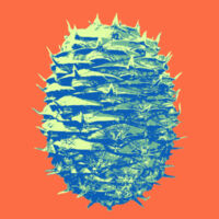 Araucaria bidwillii (cool) - Women's Maple Tee Design