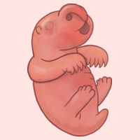 Diprotodon optatum (newborn) - Mini Me One Piece Design