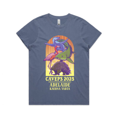 CAVEPS 2025 - Women's Faded Tee Thumbnail